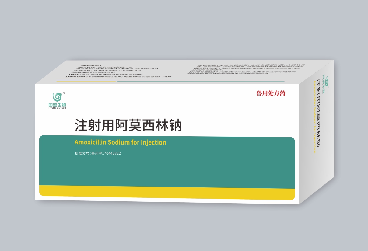 Amoxicillin Sodium for Injection