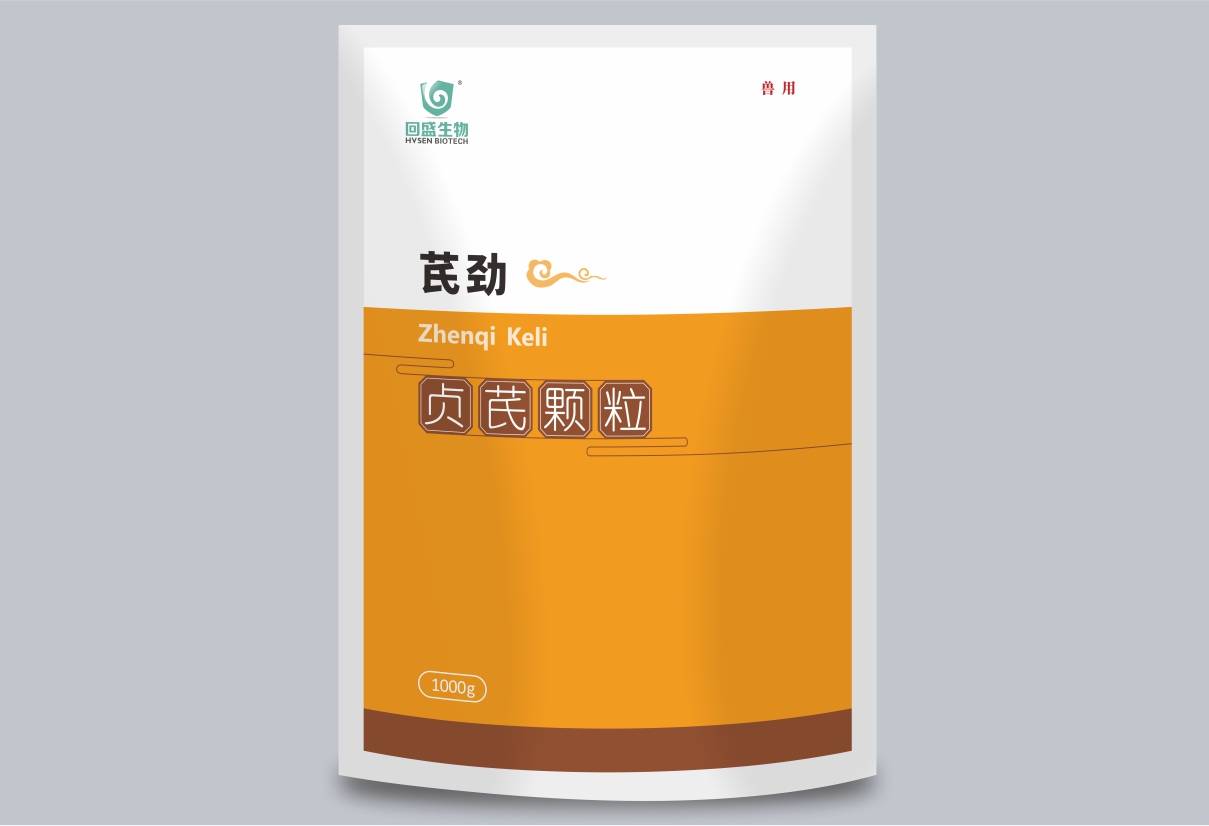 Qi Jin